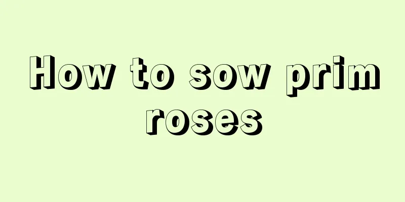 How to sow primroses