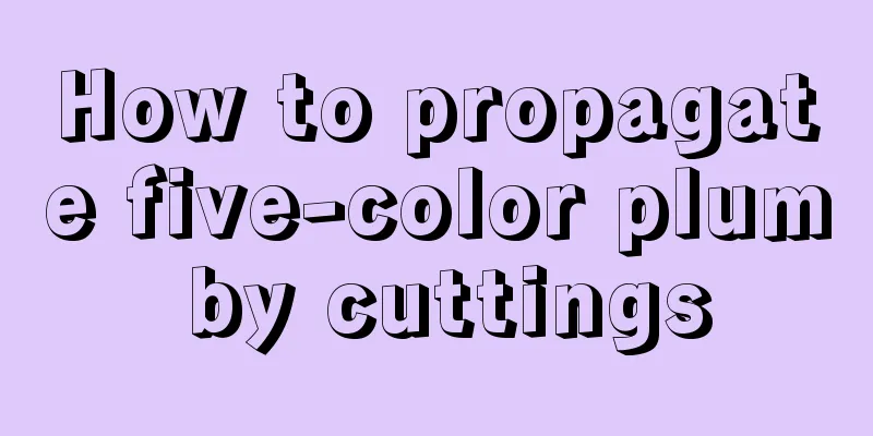 How to propagate five-color plum by cuttings