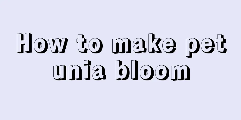 How to make petunia bloom