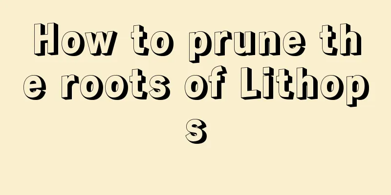 How to prune the roots of Lithops