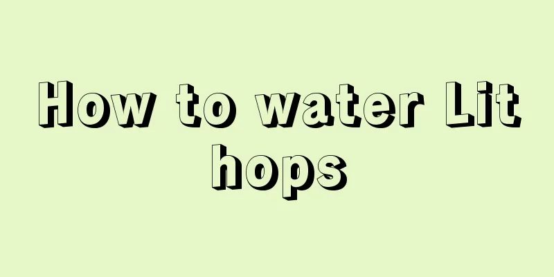 How to water Lithops