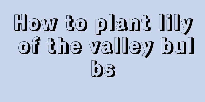 How to plant lily of the valley bulbs