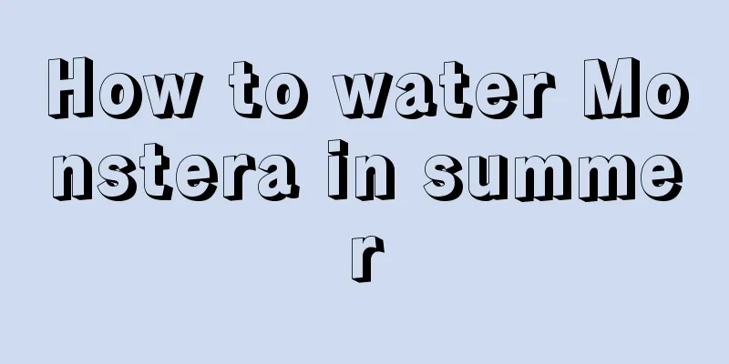 How to water Monstera in summer