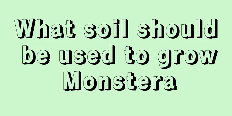 What soil should be used to grow Monstera