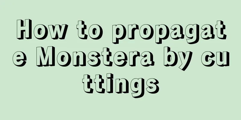 How to propagate Monstera by cuttings