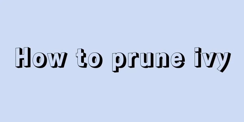 How to prune ivy