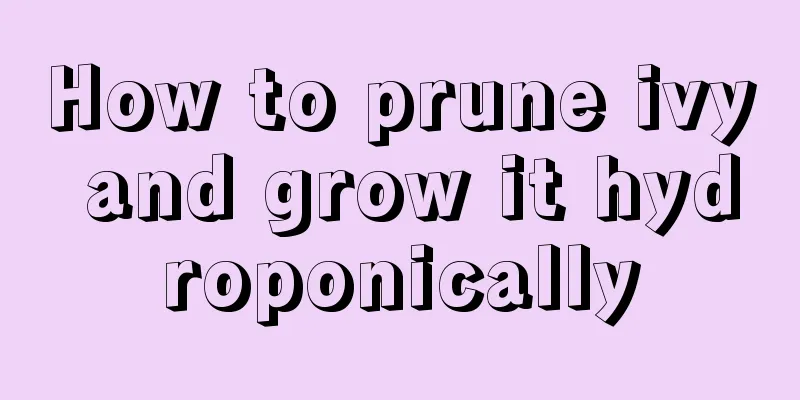 How to prune ivy and grow it hydroponically