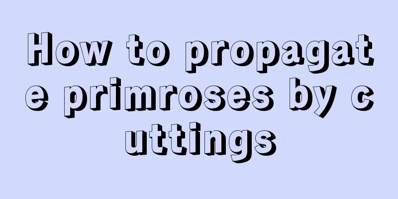 How to propagate primroses by cuttings