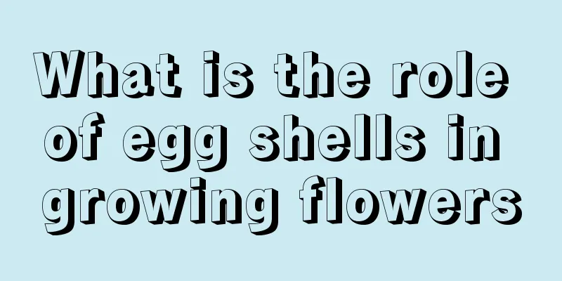 What is the role of egg shells in growing flowers