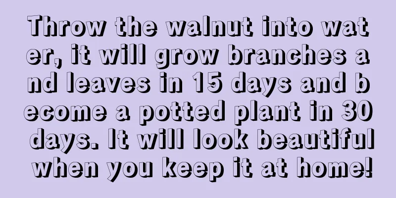 Throw the walnut into water, it will grow branches and leaves in 15 days and become a potted plant in 30 days. It will look beautiful when you keep it at home!