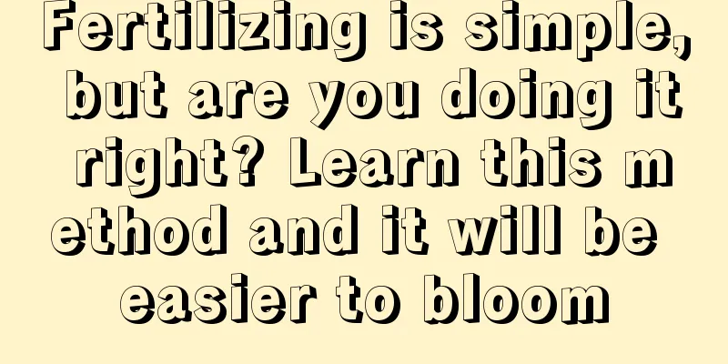 Fertilizing is simple, but are you doing it right? Learn this method and it will be easier to bloom