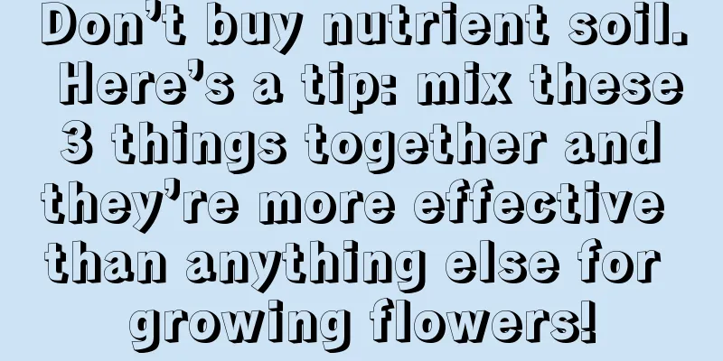 Don’t buy nutrient soil. Here’s a tip: mix these 3 things together and they’re more effective than anything else for growing flowers!