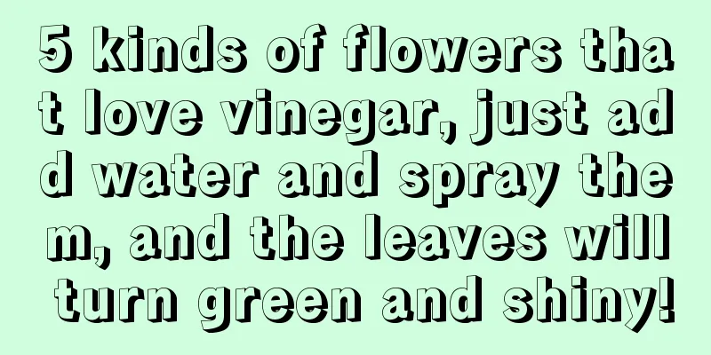 5 kinds of flowers that love vinegar, just add water and spray them, and the leaves will turn green and shiny!