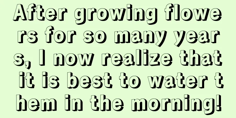 After growing flowers for so many years, I now realize that it is best to water them in the morning!