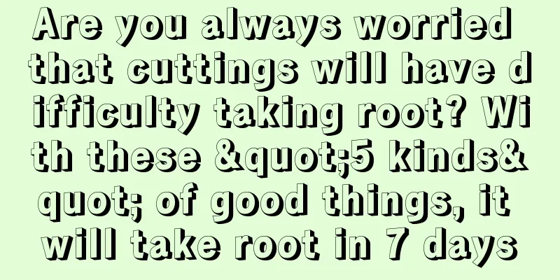 Are you always worried that cuttings will have difficulty taking root? With these "5 kinds" of good things, it will take root in 7 days