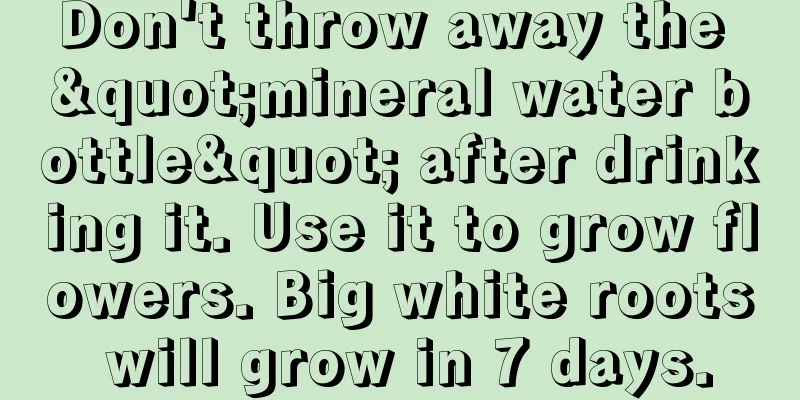 Don't throw away the "mineral water bottle" after drinking it. Use it to grow flowers. Big white roots will grow in 7 days.