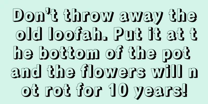 Don’t throw away the old loofah. Put it at the bottom of the pot and the flowers will not rot for 10 years!