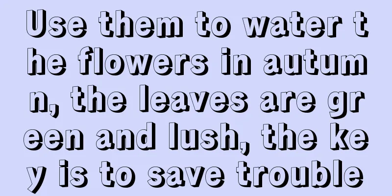 Use them to water the flowers in autumn, the leaves are green and lush, the key is to save trouble