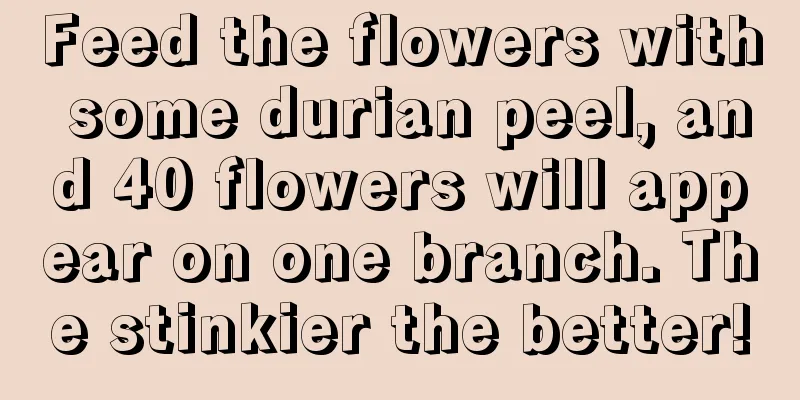 Feed the flowers with some durian peel, and 40 flowers will appear on one branch. The stinkier the better!