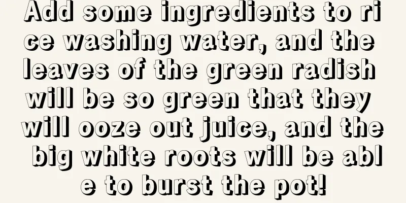 Add some ingredients to rice washing water, and the leaves of the green radish will be so green that they will ooze out juice, and the big white roots will be able to burst the pot!