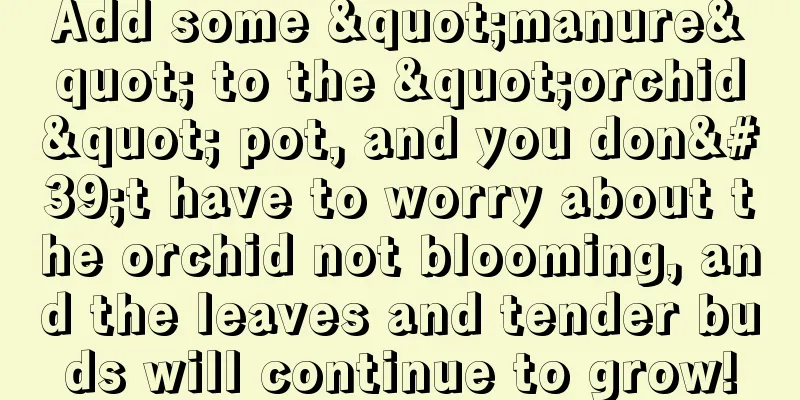 Add some "manure" to the "orchid" pot, and you don't have to worry about the orchid not blooming, and the leaves and tender buds will continue to grow!