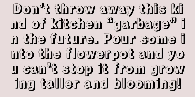 Don’t throw away this kind of kitchen “garbage” in the future. Pour some into the flowerpot and you can’t stop it from growing taller and blooming!