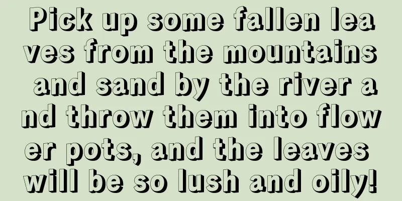 Pick up some fallen leaves from the mountains and sand by the river and throw them into flower pots, and the leaves will be so lush and oily!