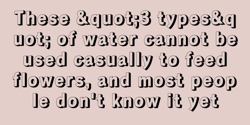 These "3 types" of water cannot be used casually to feed flowers, and most people don't know it yet