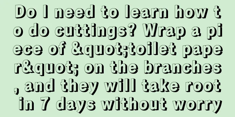 Do I need to learn how to do cuttings? Wrap a piece of "toilet paper" on the branches, and they will take root in 7 days without worry