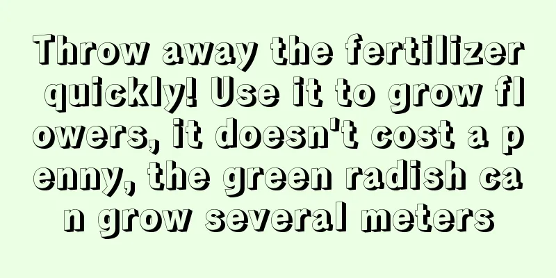 Throw away the fertilizer quickly! Use it to grow flowers, it doesn't cost a penny, the green radish can grow several meters