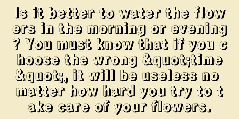 Is it better to water the flowers in the morning or evening? You must know that if you choose the wrong "time", it will be useless no matter how hard you try to take care of your flowers.