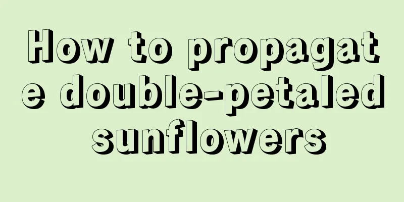 How to propagate double-petaled sunflowers