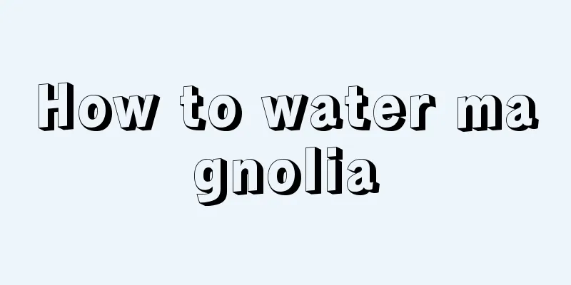 How to water magnolia