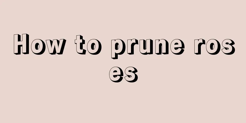 How to prune roses