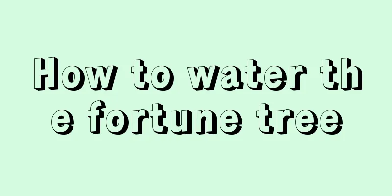 How to water the fortune tree