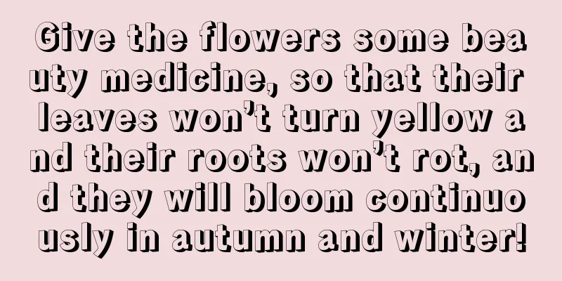 Give the flowers some beauty medicine, so that their leaves won’t turn yellow and their roots won’t rot, and they will bloom continuously in autumn and winter!