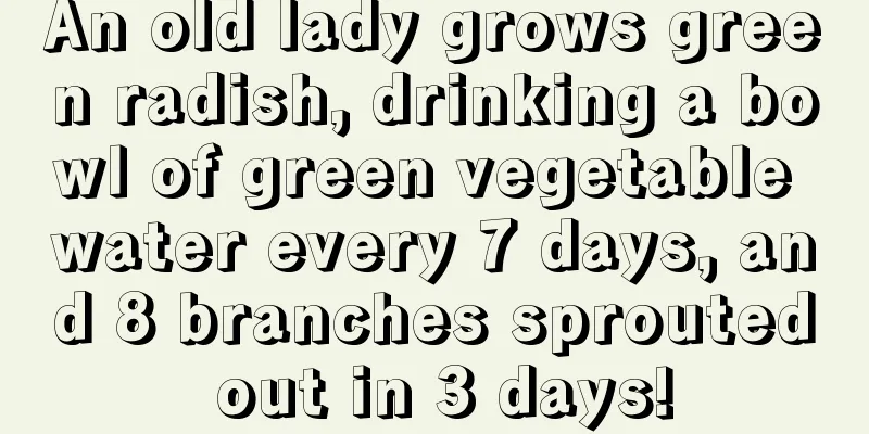 An old lady grows green radish, drinking a bowl of green vegetable water every 7 days, and 8 branches sprouted out in 3 days!