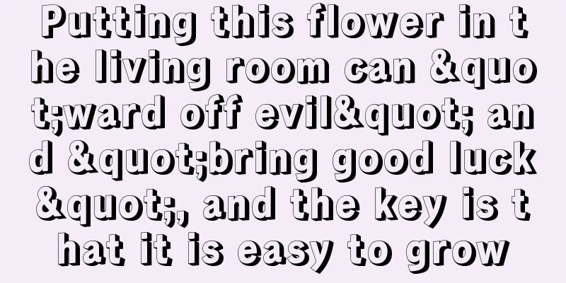 Putting this flower in the living room can "ward off evil" and "bring good luck", and the key is that it is easy to grow