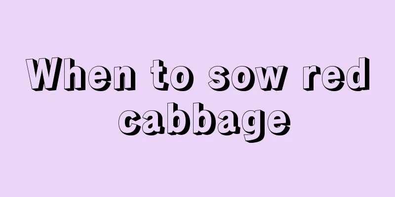 When to sow red cabbage