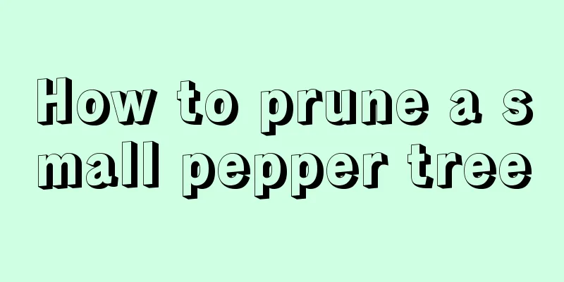 How to prune a small pepper tree