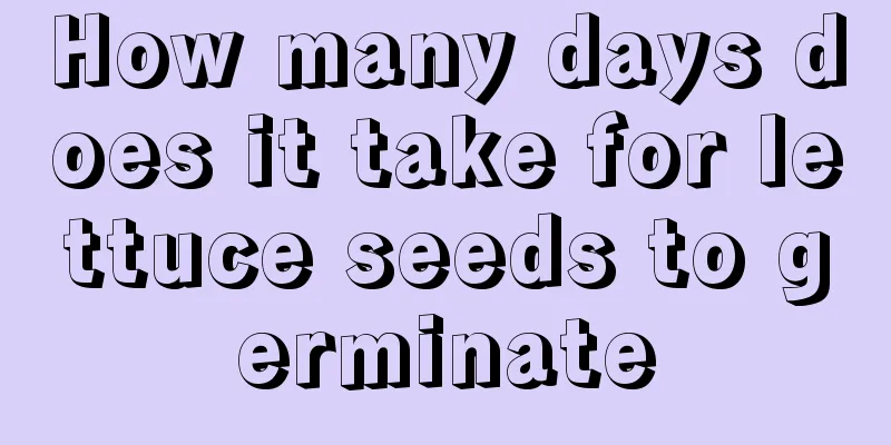 How many days does it take for lettuce seeds to germinate