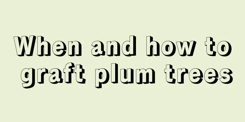 When and how to graft plum trees