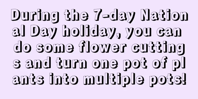 During the 7-day National Day holiday, you can do some flower cuttings and turn one pot of plants into multiple pots!