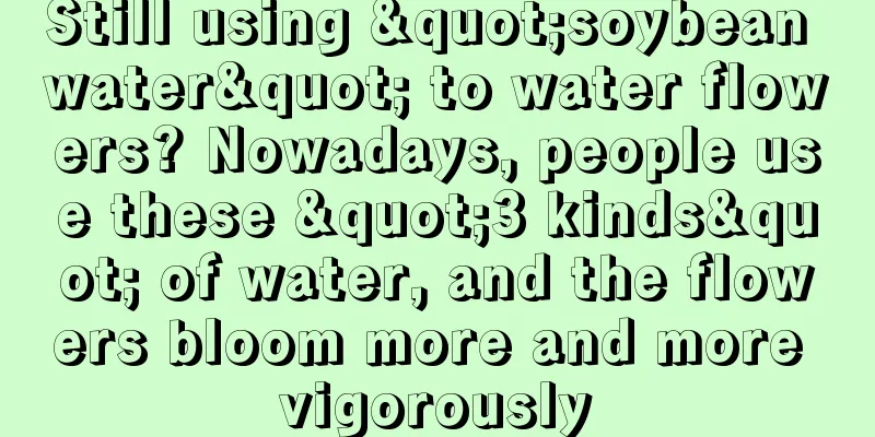 Still using "soybean water" to water flowers? Nowadays, people use these "3 kinds" of water, and the flowers bloom more and more vigorously