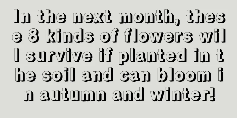 In the next month, these 8 kinds of flowers will survive if planted in the soil and can bloom in autumn and winter!