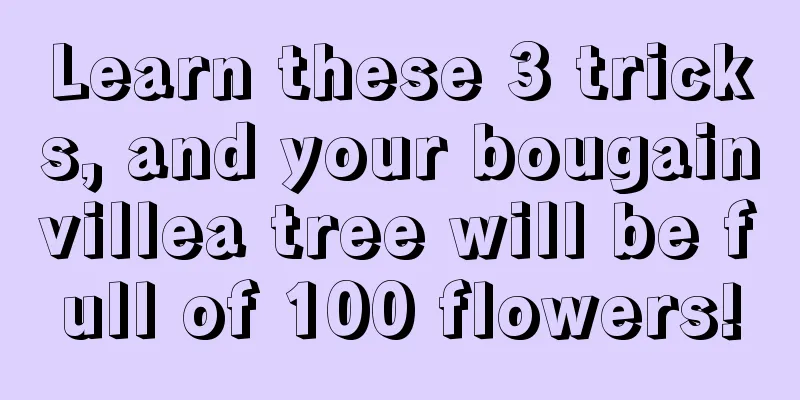 Learn these 3 tricks, and your bougainvillea tree will be full of 100 flowers!