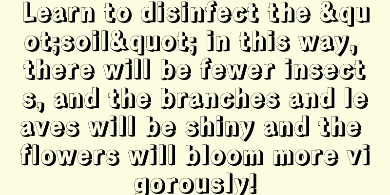 Learn to disinfect the "soil" in this way, there will be fewer insects, and the branches and leaves will be shiny and the flowers will bloom more vigorously!