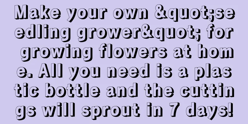 Make your own "seedling grower" for growing flowers at home. All you need is a plastic bottle and the cuttings will sprout in 7 days!