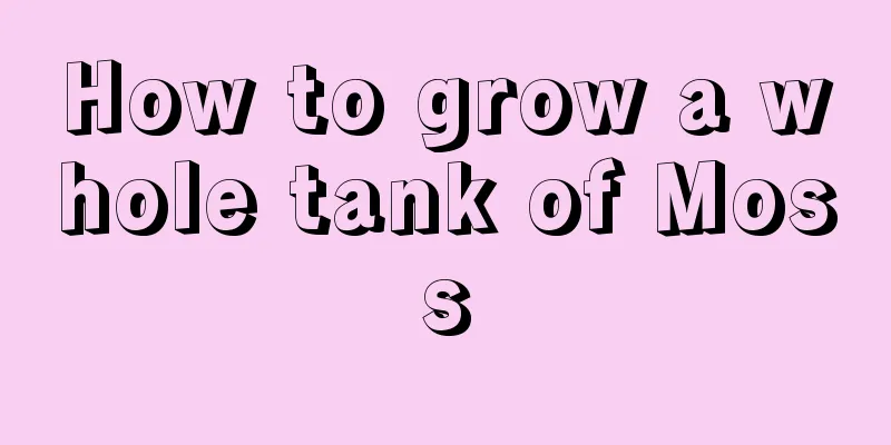 How to grow a whole tank of Moss