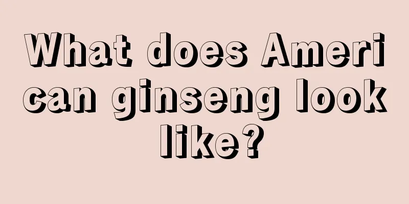 What does American ginseng look like?